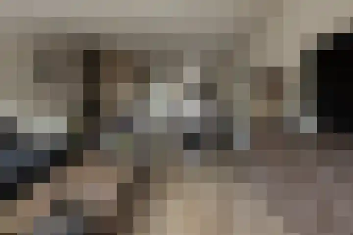 Loevestein 4 Ede thumbnail 9
