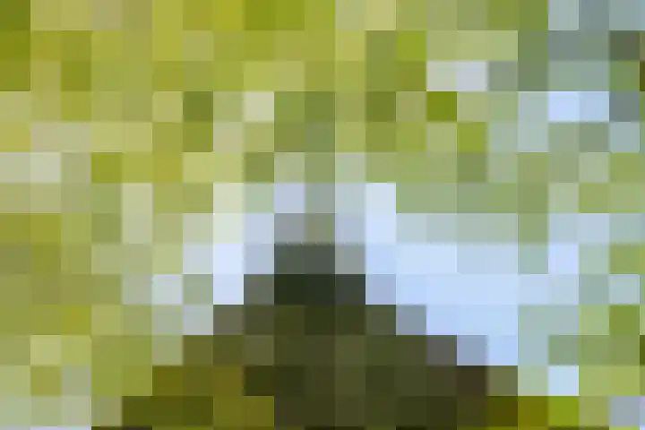Loevestein 6 Gorredijk thumbnail 12