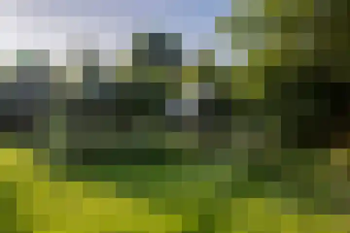 Loevestein 6 Gorredijk thumbnail 15
