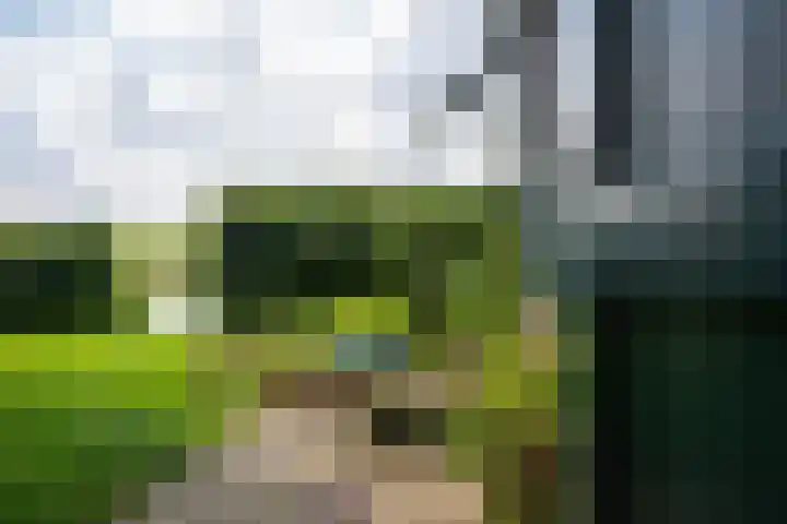 Loevestein 6 Gorredijk thumbnail 16