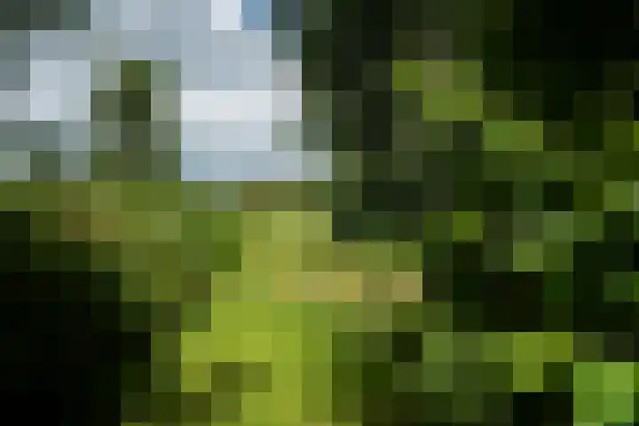 Loevestein 6 Gorredijk thumbnail 42