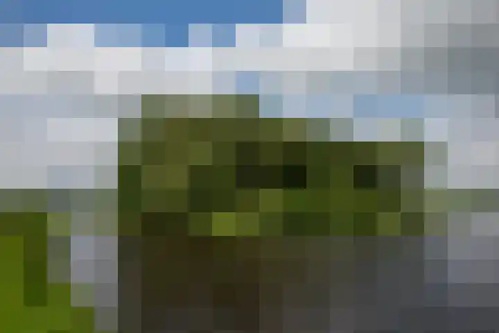 Loevestein 6 Gorredijk thumbnail 8