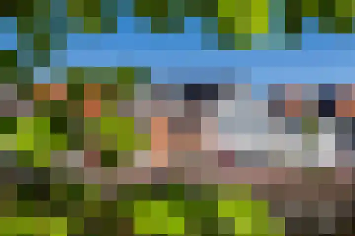 Loevesteinkade 45 Weesp thumbnail 36