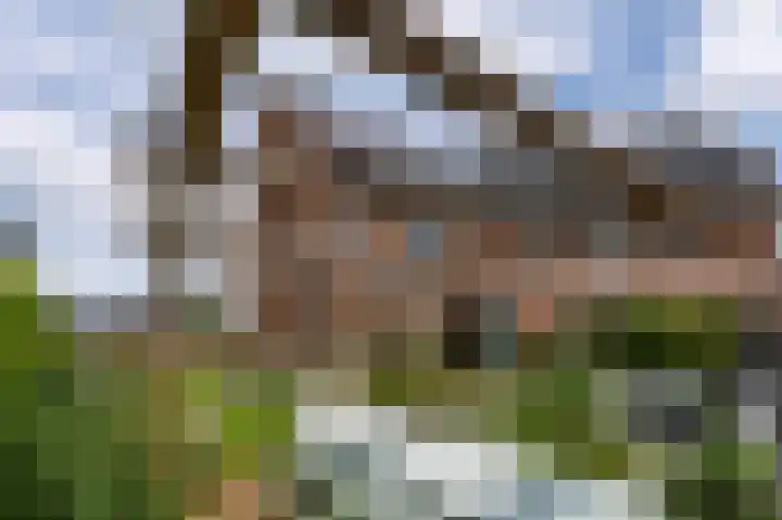 Loevesteinlaan 20 Weesp thumbnail 23