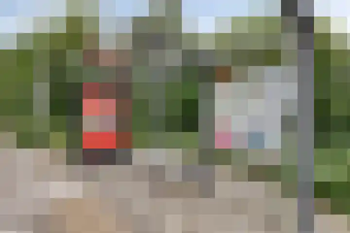 Logger 154 Amstelveen thumbnail 31