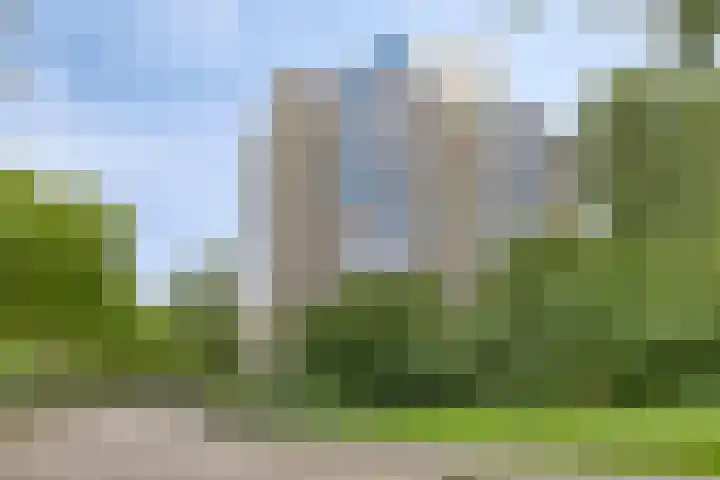 Logger 154 Amstelveen thumbnail 38