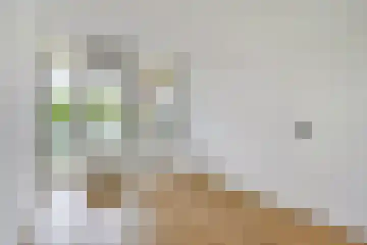 Logger 174 Amstelveen thumbnail 20