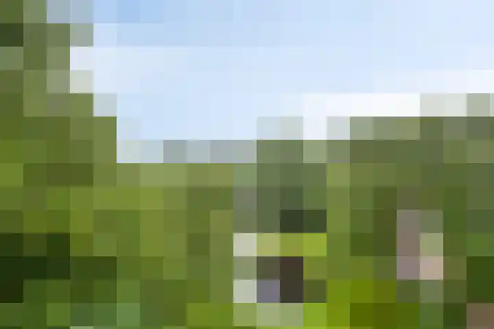 Logger 174 Amstelveen thumbnail 24