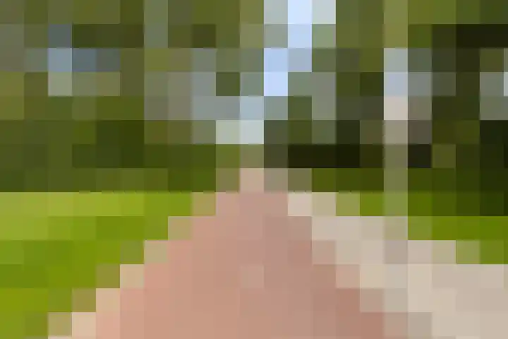 Logger 174 Amstelveen thumbnail 26