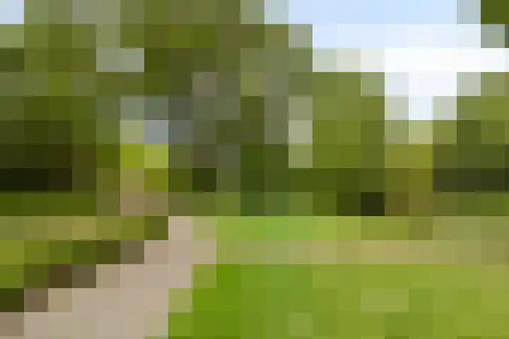 Logger 174 Amstelveen thumbnail 27