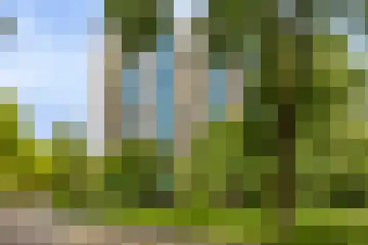 Logger 174 Amstelveen thumbnail 33