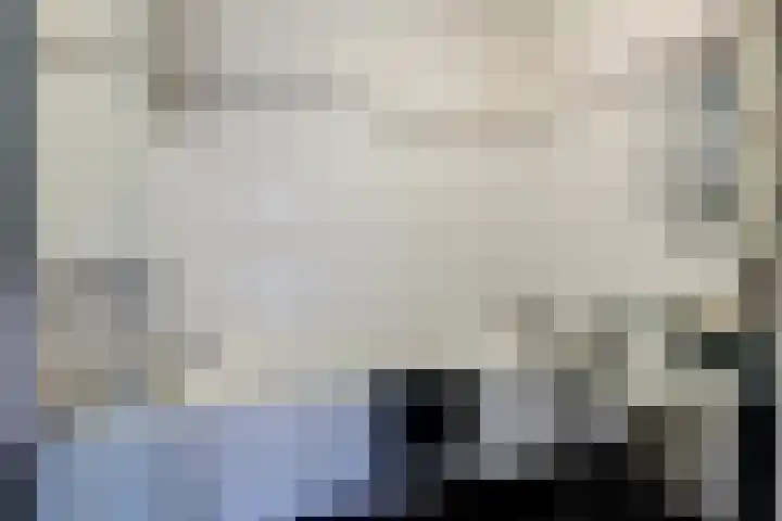 Logger 200 Amstelveen thumbnail 19