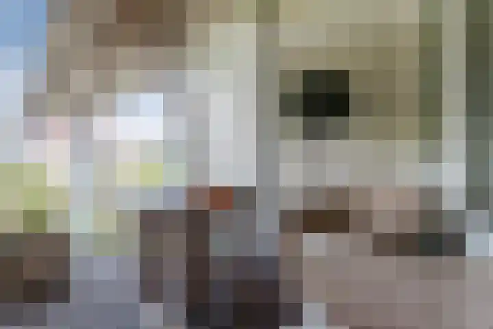 Logger 200 Amstelveen thumbnail 26