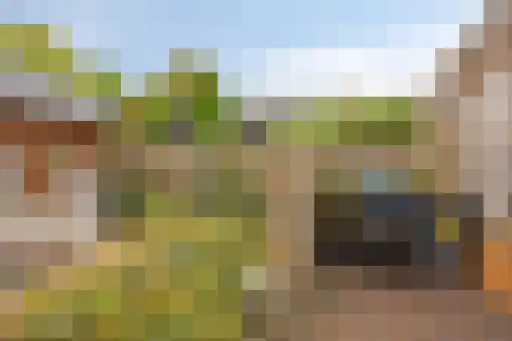 Logger 200 Amstelveen thumbnail 27