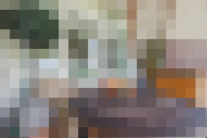 Logger 200 Amstelveen thumbnail 27