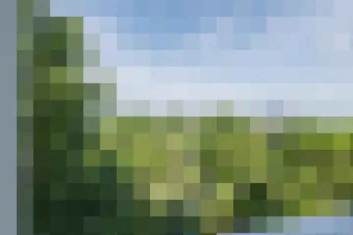 Logger 200 Amstelveen thumbnail 37