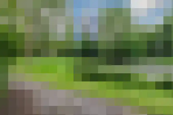 Logger 200 Amstelveen thumbnail 39