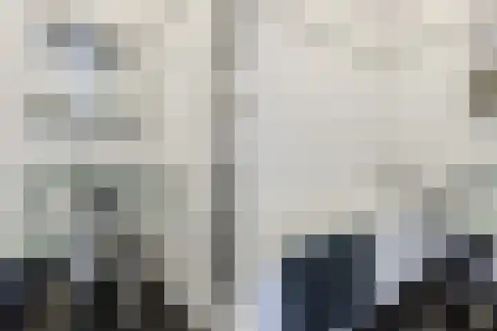 Logger 200 Amstelveen thumbnail 4