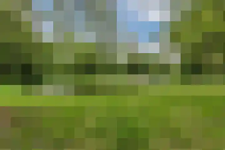 Logger 200 Amstelveen thumbnail 40