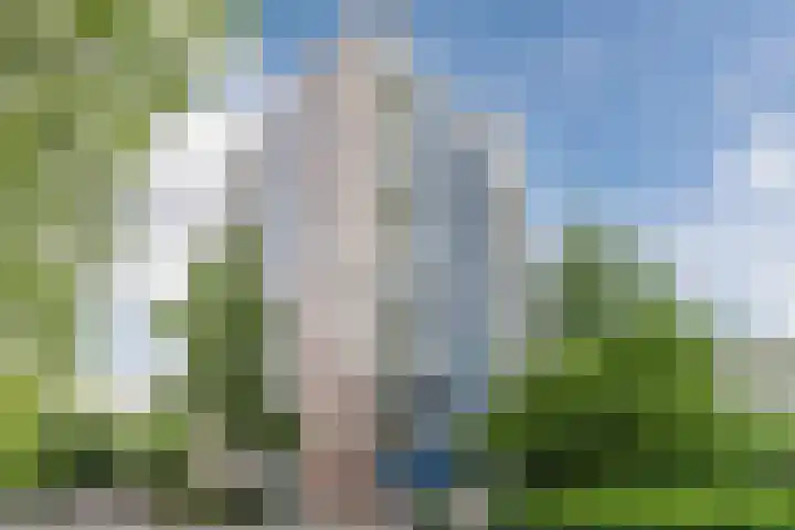 Logger 200 Amstelveen thumbnail 43