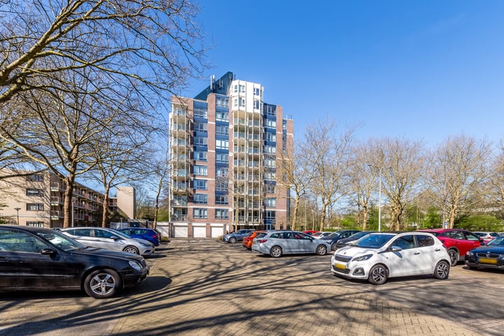 Logger 224 in Amstelveen