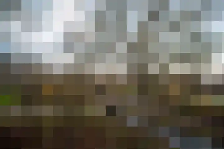 Logger 24 Amstelveen thumbnail 11