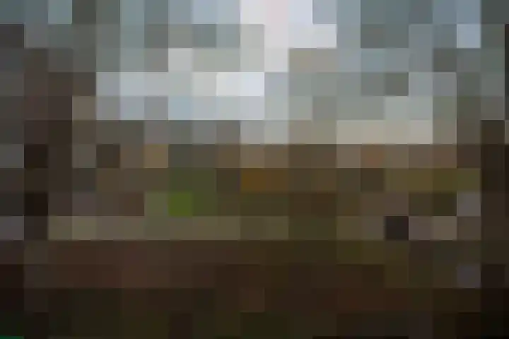 Logger 24 Amstelveen thumbnail 12