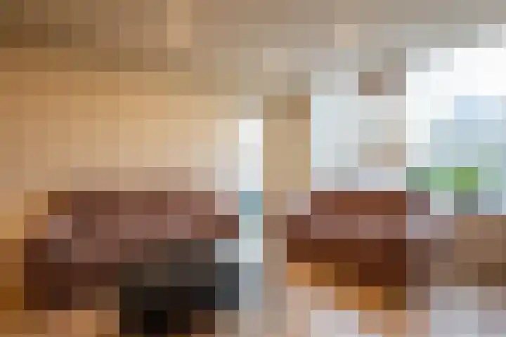 Logger 24 Amstelveen thumbnail 13