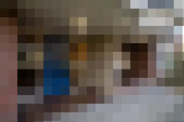 Logger 24 Amstelveen thumbnail 29