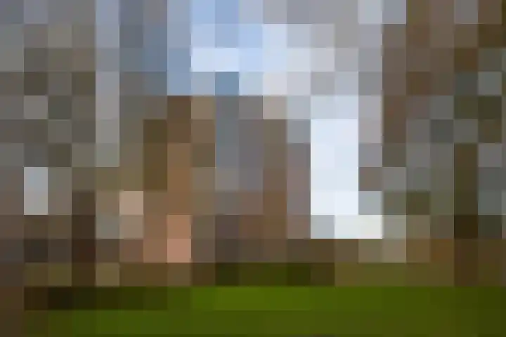 Logger 24 Amstelveen thumbnail 32