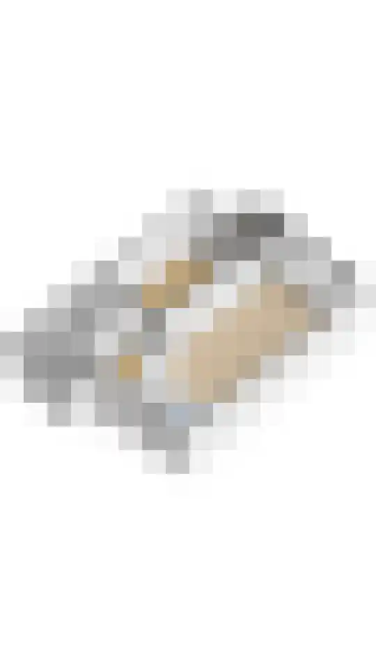 Logger 24 Amstelveen thumbnail 34