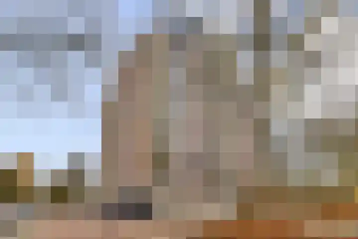 Logger 252 Amstelveen