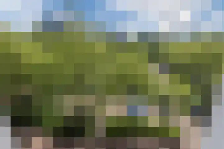 Logger 270 Amstelveen thumbnail 33