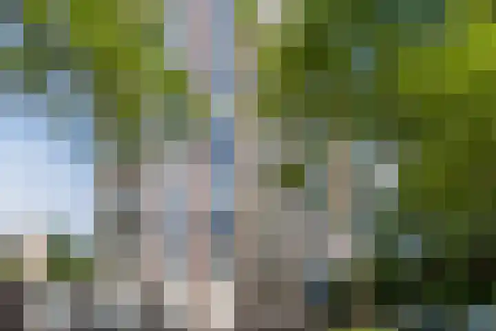 Logger 270 Amstelveen thumbnail 35