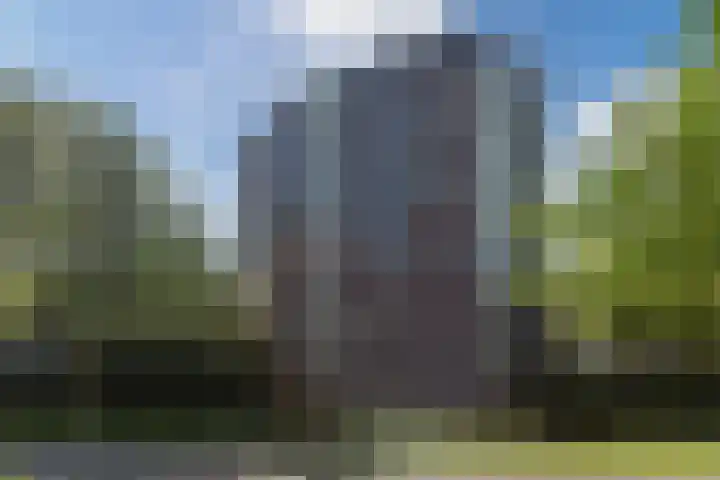 Logger 270 Amstelveen thumbnail 37