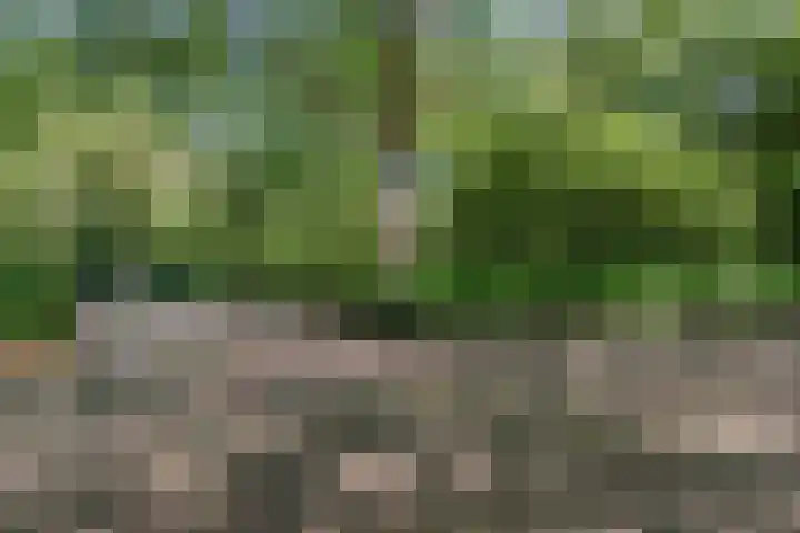 Logger 270 Amstelveen thumbnail 40
