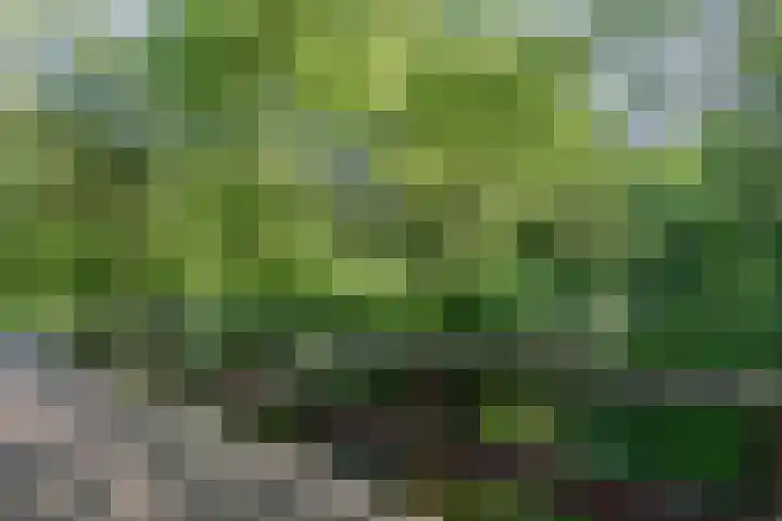 Logger 270 Amstelveen thumbnail 41
