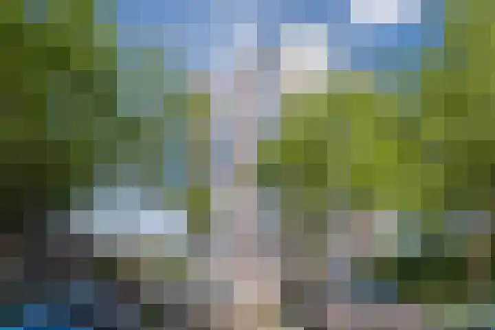 Logger 270 Amstelveen thumbnail 45