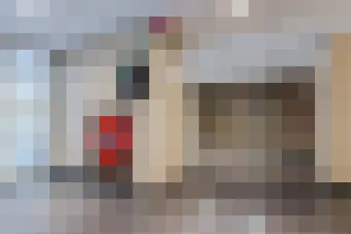 Logger 270 Amstelveen thumbnail 6