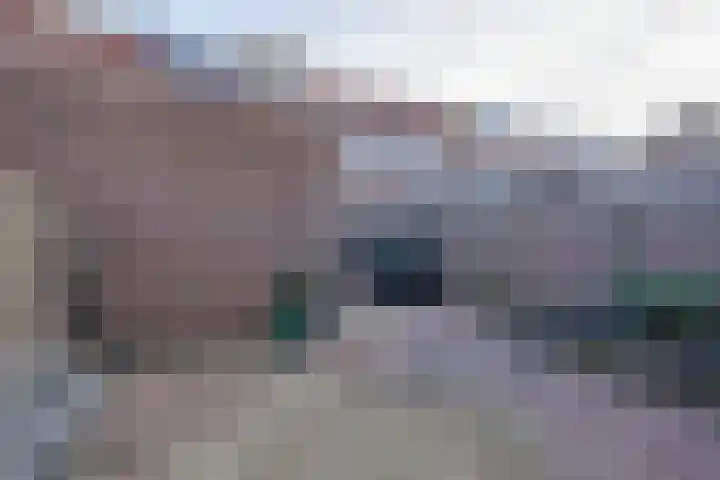 Logger 44 Volendam thumbnail 28