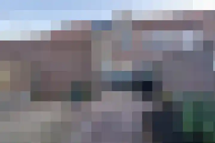Logger 44 Volendam thumbnail 29