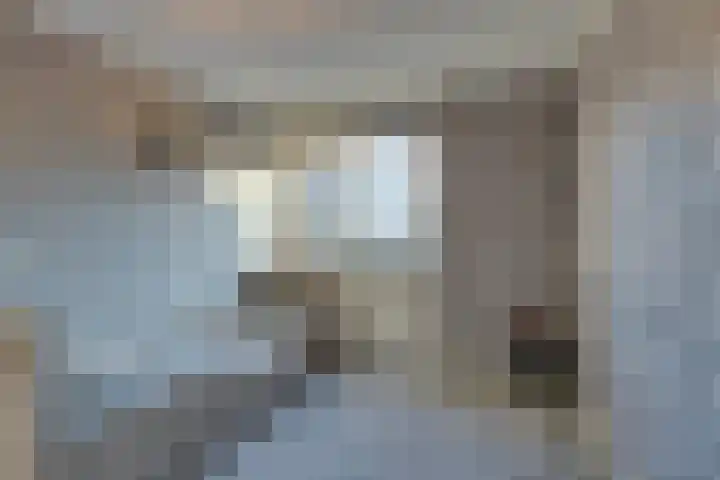 Logger 44 Volendam thumbnail 37