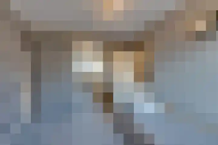 Logger 44 Volendam thumbnail 38