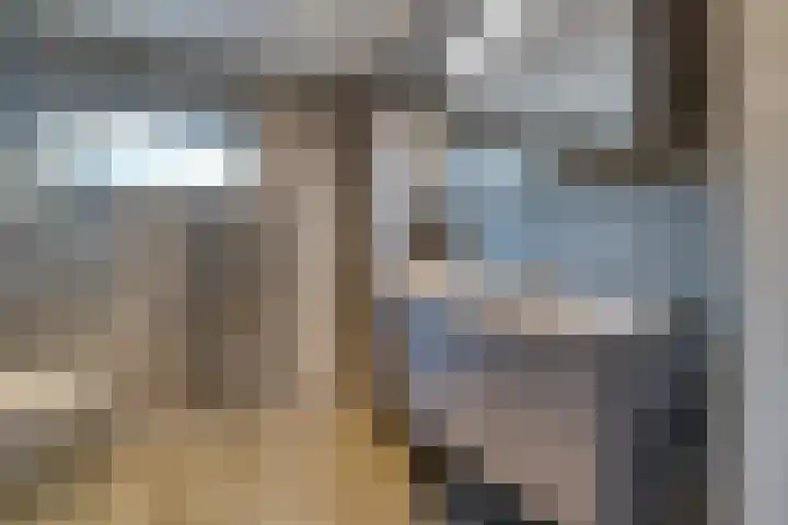 Logger 44 Volendam thumbnail 4