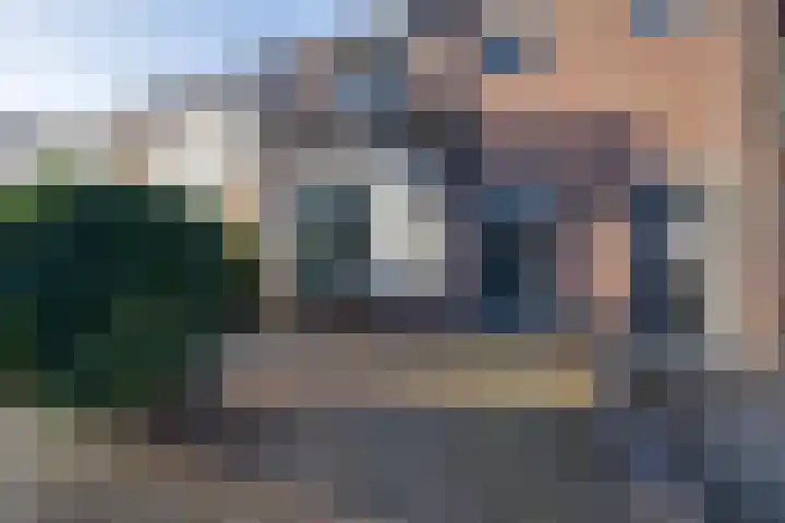 Logger 44 Volendam thumbnail 8