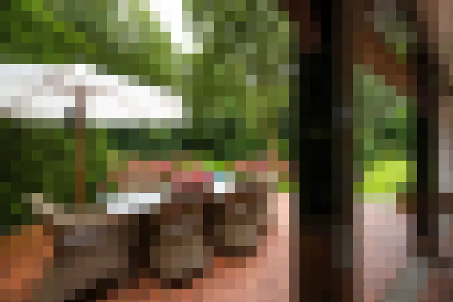 Logosberg 5 Laren thumbnail 27