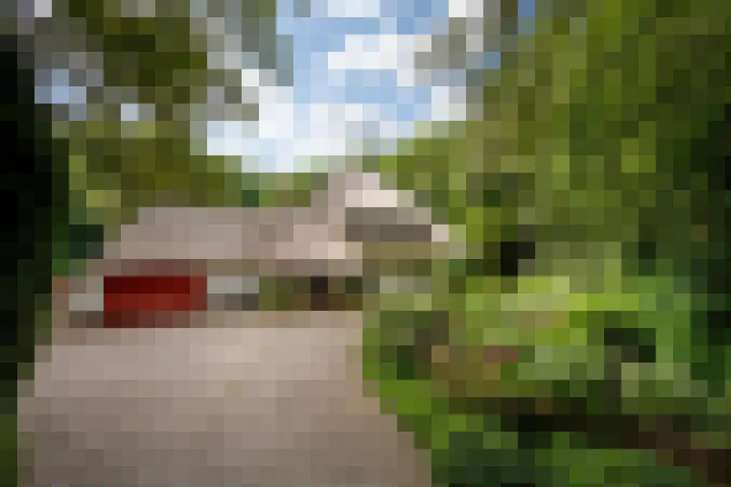 Logosberg 5 Laren thumbnail 5