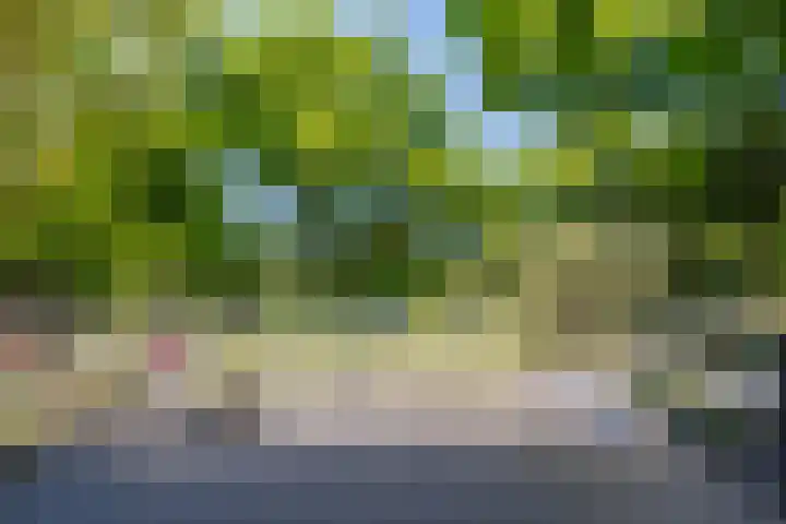 Logterberge 16 Gennep thumbnail 18