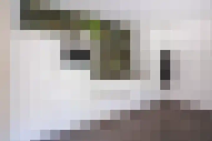 Logterberge 16 Gennep thumbnail 20