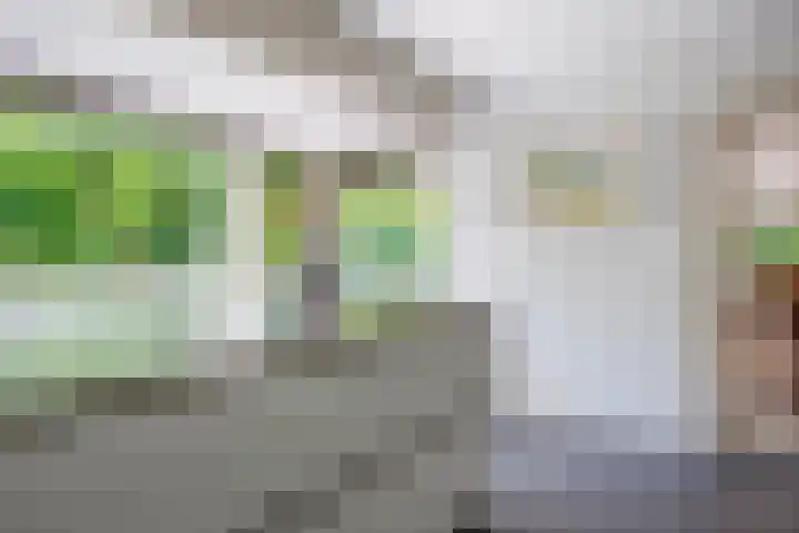 Logterberge 16 Gennep thumbnail 22